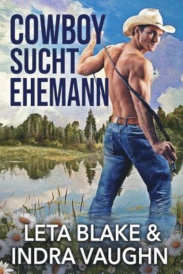 Leta Blake, Indra Vaughn - Cowboy Sucht Ehemann, Häftad