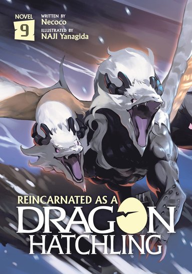 bokomslag Reincarnated as a Dragon Hatchling (Light Novel) Vol. 9