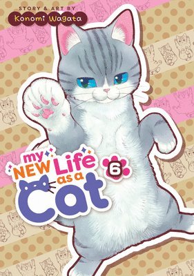 My New Life as a Cat Vol. 6 1