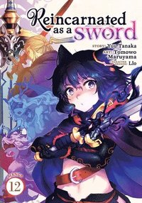 bokomslag Reincarnated as a Sword (Manga) Vol. 12