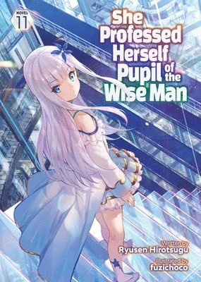 bokomslag She Professed Herself Pupil of the Wise Man (Light Novel) Vol. 11