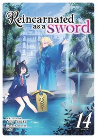 bokomslag Reincarnated as a Sword (Light Novel) Vol. 14