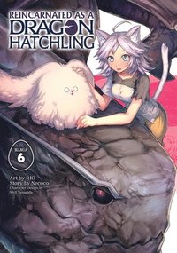 bokomslag Reincarnated as a Dragon Hatchling (Manga) Vol. 6