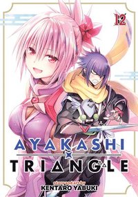 bokomslag Ayakashi Triangle Vol. 12