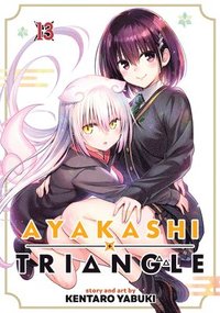 bokomslag Ayakashi Triangle Vol. 13