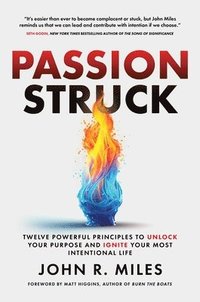 bokomslag Passion Struck: Twelve Powerful Principles to Unlock Your Purpose and Ignite Your Most Intentional Life