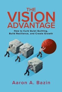 bokomslag The Vision Advantage