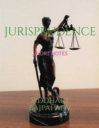 bokomslag Jurisprudence