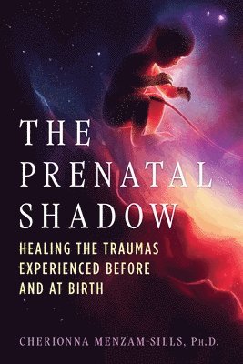 bokomslag The Prenatal Shadow