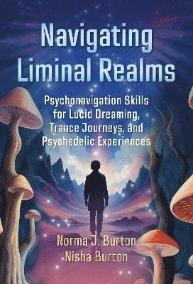 bokomslag Navigating Liminal Realms