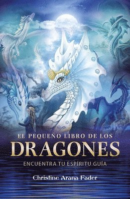 Christine Arana Fader - pequeño libro de los dragones, Häftad