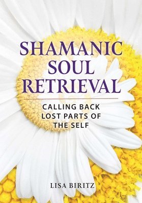 bokomslag Shamanic Soul Retrieval