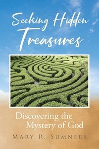 bokomslag Seeking Hidden Treasures