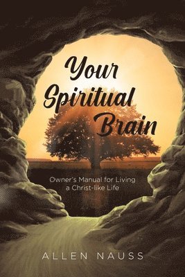 bokomslag Your Spiritual Brain