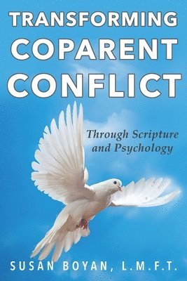 bokomslag Transforming Coparent Conflict