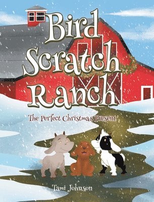 bokomslag Bird Scratch Ranch