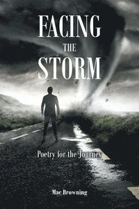 bokomslag Facing The Storm