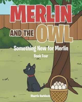 bokomslag Merlin and the Owl; Something New for Merlin; Book Four