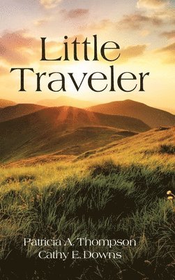 bokomslag Little Traveler