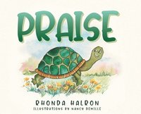 bokomslag Praise