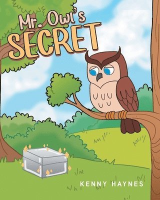 bokomslag Mr. Owl's Secret