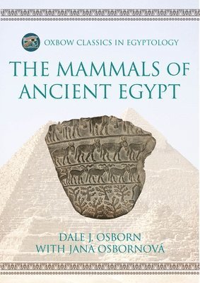 bokomslag Mammals of Ancient Egypt
