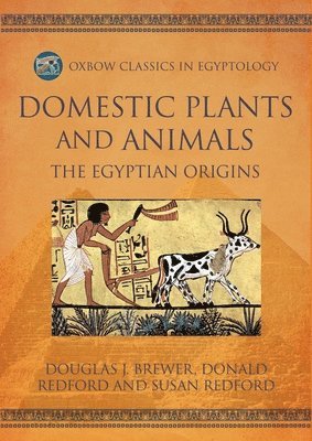 bokomslag Domestic Plants and Animals