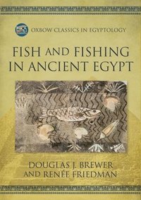 bokomslag Fish and Fishing in Ancient Egypt