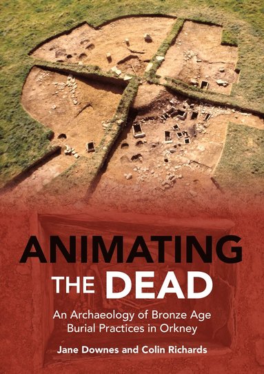 bokomslag Animating the Dead