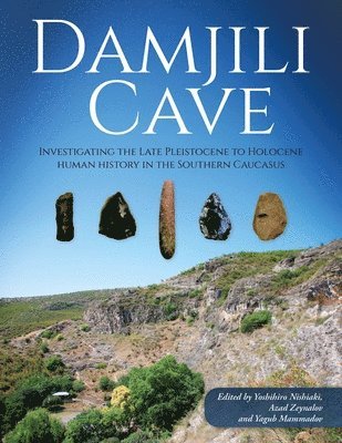 bokomslag Damjili Cave: Investigating the Late Pleistocene to Holocene Human History in the Southern Caucasus