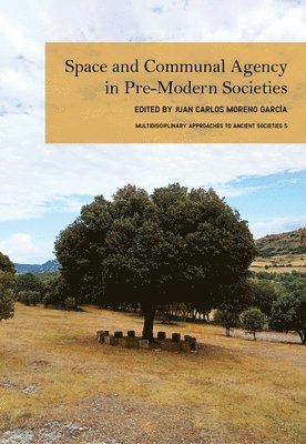 Space and Communal Agency in Pre-Modern Societies 1