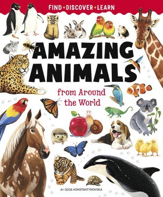 Big Book of Amazing Animals 1