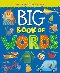bokomslag Big Book of Words
