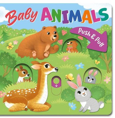 Baby Animals 1