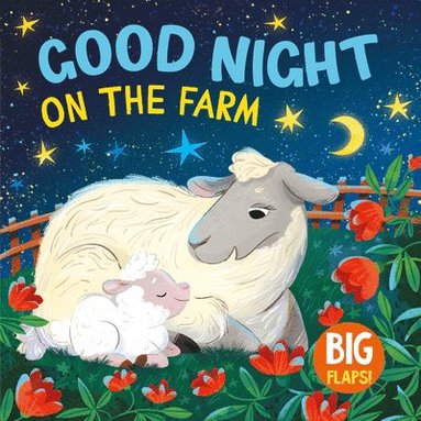 bokomslag Good Night on the Farm