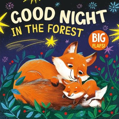 bokomslag Good Night in the Forest