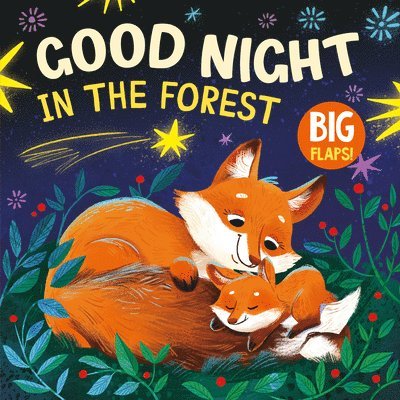 Good Night in the Forest 1