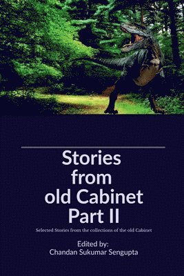 Chandan SenGupta, Chandan Sengupta - Stories from old Cabinet Part II, Häftad