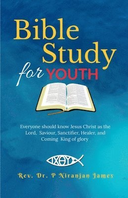 bokomslag Bible Study for Youth
