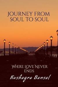 bokomslag Journey from soul to soul