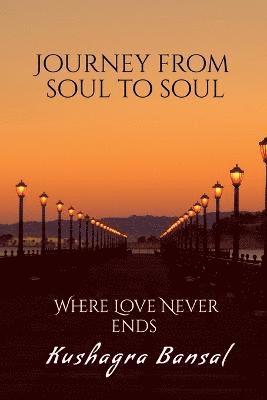 bokomslag Journey from soul to soul