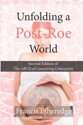 bokomslag Unfolding a Post-Roe World