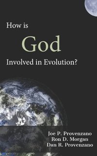 bokomslag How is God Involved in Evolution?