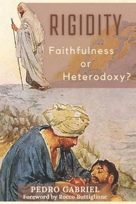 bokomslag Rigidity: Faithfulness or Heterodoxy?