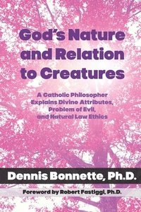 bokomslag God's Nature and Relation to Creatures