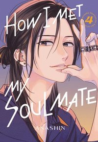 bokomslag How I Met My Soulmate 4