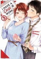Akamaru Enomoto - I Have a Crush at Work 3, Häftad