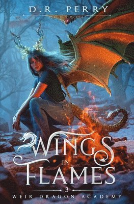 D R Perry - Wings in Flames, Häftad