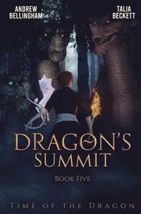bokomslag Dragon's Summit