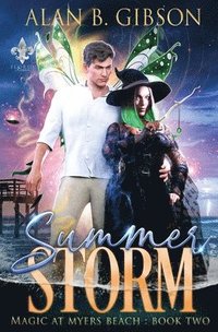 bokomslag Summer Storm